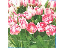 Serwetki Decoupage - Wazon Pełen Tulipanów