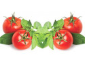 serwetki decoupage - Pomidory z Bazylią